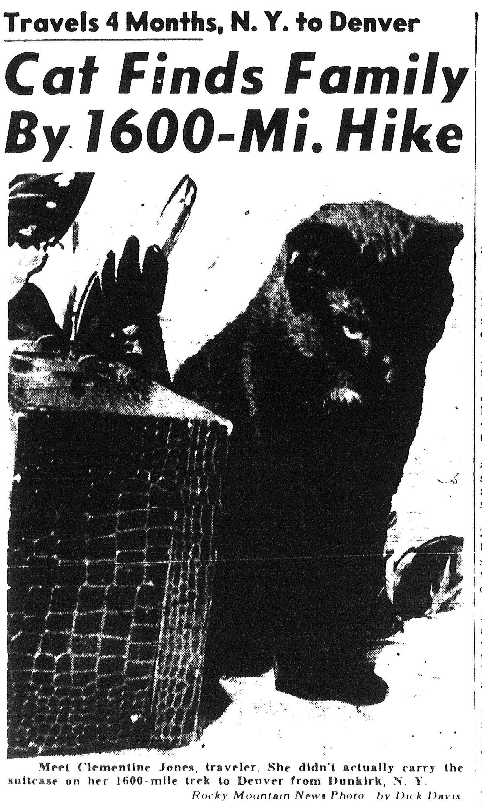 Celebrity Cats of Colorado History Denver Public Library History